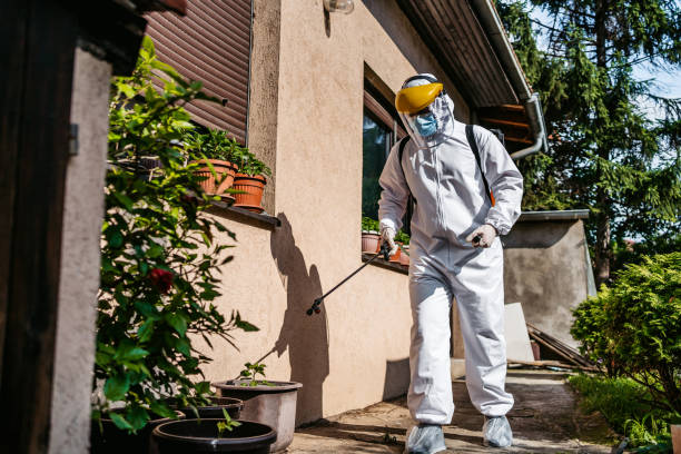 Best Wasp Removal Services  in Lakeland, MN