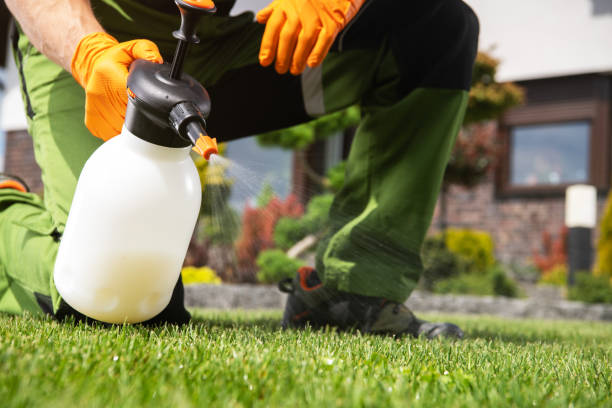 Best Flea Control Services  in Lakeland, MN