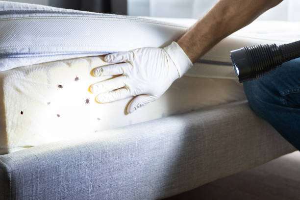 Best Pest Control for Restaurants  in Lakeland, MN