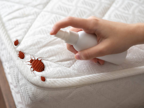 Best Emergency Pest Control  in Lakeland, MN