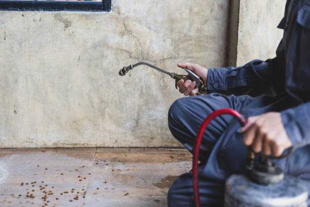 Best Wasp Removal Services  in Lakeland, MN